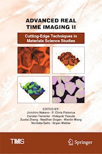 Advanced Real Time Imaging II - - E-Book