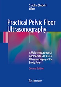 Practical Pelvic Floor Ultrasonography -  - E-Book