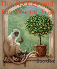 The Monkey and The Orange Tree - heidi jacobsen - E-Book