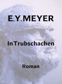 In Trubschachen - E. Y. Meyer - E-Book