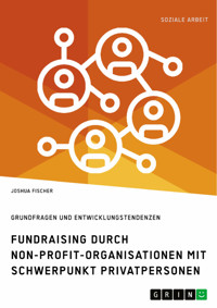 Fundraising durch Non-Profit-Organisationen mit Schwerpunkt Privatpersonen in Deutschland - Joshua Fischer - E-Book