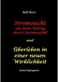 Stromsucht - der kalte Entzug durch Stromausfall und Überleben in einer neuen Wirklichkeit: Weltweite Flutkatastrophe, Klimawandel, Meteoriteneinschlag, Permakultur, Autismus, versunkene Städte - Rolf Horst - E-Book