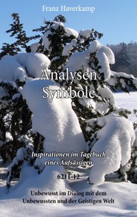 Analysen-Symbole 6211-12 - Franz Haferkamp - E-Book
