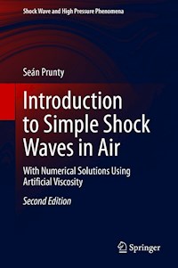 Introduction to Simple Shock Waves in Air - Seán Prunty - E-Book
