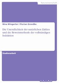 Die Unendlichkeit der natürlichen Zahlen und die Beweismethode der vollständigen Induktion - Nina Wingerter - E-Book