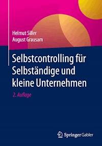 Selbstcontrolling für Selbständige und kleine Unternehmen - Helmut Siller - E-Book