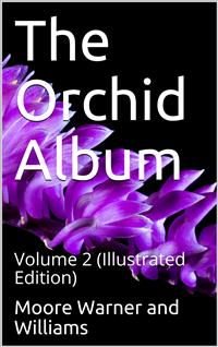 The Orchid Album, Volume 2 / comprising coloured figures and descriptions of new, rare, / and beautiful Orchidaceous Plants - Benjamin Samuel Williams - E-Book