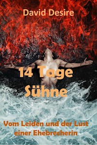 14 Tage Sühne - David Desire - E-Book