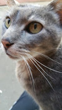 Wenn Nachts die Träume Hüter sind im Paradies und auf Erden - lucy di luna - E-Book