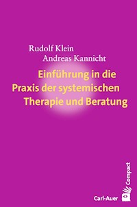 Einführung in die Praxis der systemischen Therapie und Beratung - Rudolf Klein - E-Book