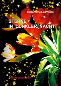 Sterne in dunkler Nacht - Brigitte Anna Lina Wacker - E-Book