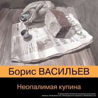 Неопалимая купина - Борис Васильев - Hörbuch