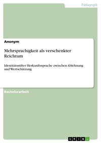 Mehrsprachigkeit als verschenkter Reichtum -  - E-Book