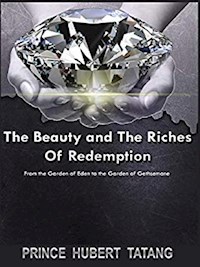 The Beauty & Riches of Redemption - Apostle Tatang D. H. R. - E-Book