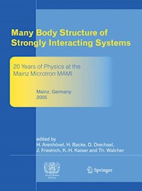 Many Body Structure of Strongly Interacting Systems -  - E-Book
