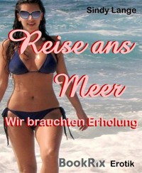 Reise zum Meer - Sindy Lange - E-Book