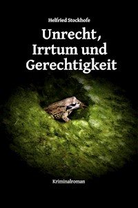 Unrecht, Irrtum und Gerechtigkeit - Helfried Stockhofe - E-Book