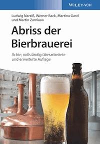 Abriss der Bierbrauerei - Ludwig Narziß - E-Book