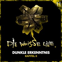 11: Dunkle Erkenntnis - Kapitel II - Benjamin Oechsle - Hörbuch