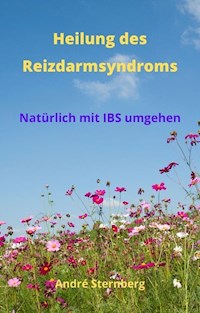 Heilung des Reizdarmsyndroms - Andre Sternberg - E-Book