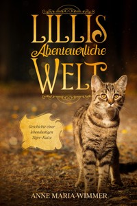 Lillis abenteuerliche Welt - Anne Maria Wimmer - E-Book