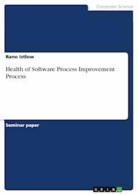 Health of Software Process Improvement Process - Rano Istlow - E-Book