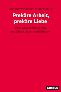 Prekäre Arbeit, prekäre Liebe - Christine Wimbauer - kostenlos E-Book