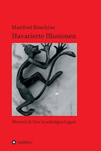 Havarierte Illusionen - Manfred Röschlau - E-Book