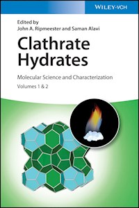 Clathrate Hydrates -  - E-Book