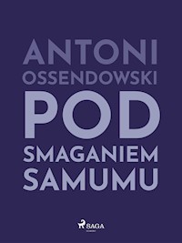 Pod smaganiem samumu - Antoni Ossendowski - E-Book