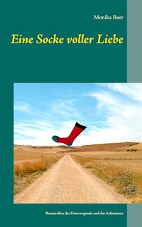 Eine Socke voller Liebe - Monika Beer - E-Book