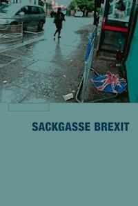 Sackgasse Brexit - Peter Stäuber - E-Book