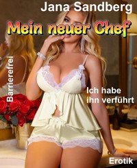 Mein neuer Chef - Jana Sandberg - E-Book