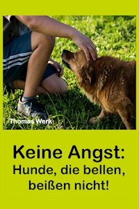 Keine Angst: - Thomas Werk - E-Book