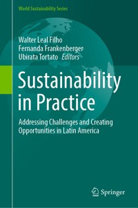 Sustainability in Practice -  - E-Book