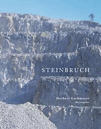 Steinbruch - Herbert Lachmayer - E-Book