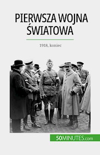 Pierwsza wojna światowa (Tom 3) - Benjamin Janssens de Bisthoven - E-Book