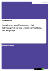 Auswirkung von Eisenmangel bei Schwangeren auf die Gehirnentwicklung des Säuglings - Linda Neeb - E-Book