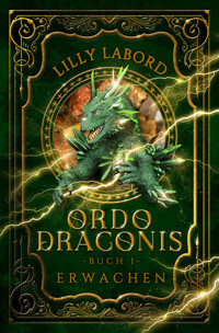 Ordo Draconis - Erwachen - Lilly Labord - E-Book