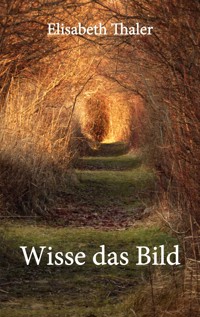Wisse das Bild - Elisabeth Thaler - E-Book