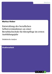 Entwicklung des beruflichen Selbstverständnisses an einer Berufsfachschule für Altenpflege im ersten Ausbildungsjahr - Markus Hieber - E-Book