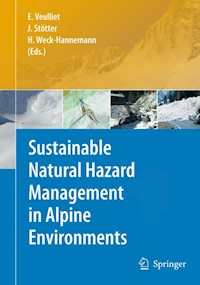 Sustainable Natural Hazard Management in Alpine Environments - - E-Book