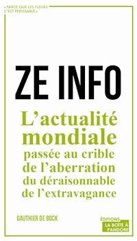 ZE info - Gauthier De Bock - E-Book