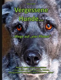Vergessene Hunde - Stefan Klink - E-Book