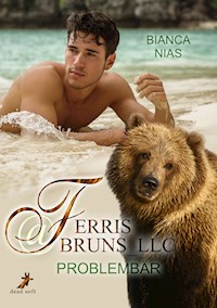 Ferris@Bruns_LLC - Bianca Nias - E-Book