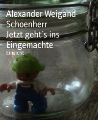 Jetzt geht´s ins Eingemachte - Alexander Weigand Schoenherr - E-Book