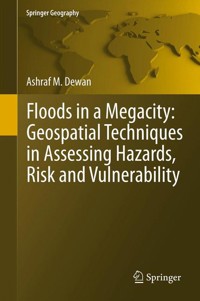 Floods in a Megacity - Ashraf Dewan - E-Book