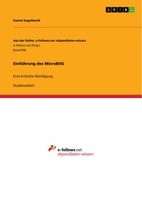 Einführung des MicroBilG - Daniel Engelhardt - E-Book
