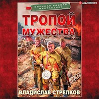Тропой мужества - Владислав Стрелков - Hörbuch