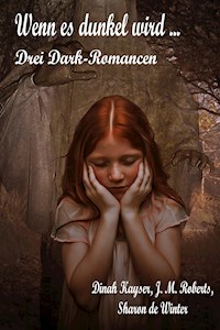 Wenn es dunkel wird ... - Dinah Kayser - E-Book